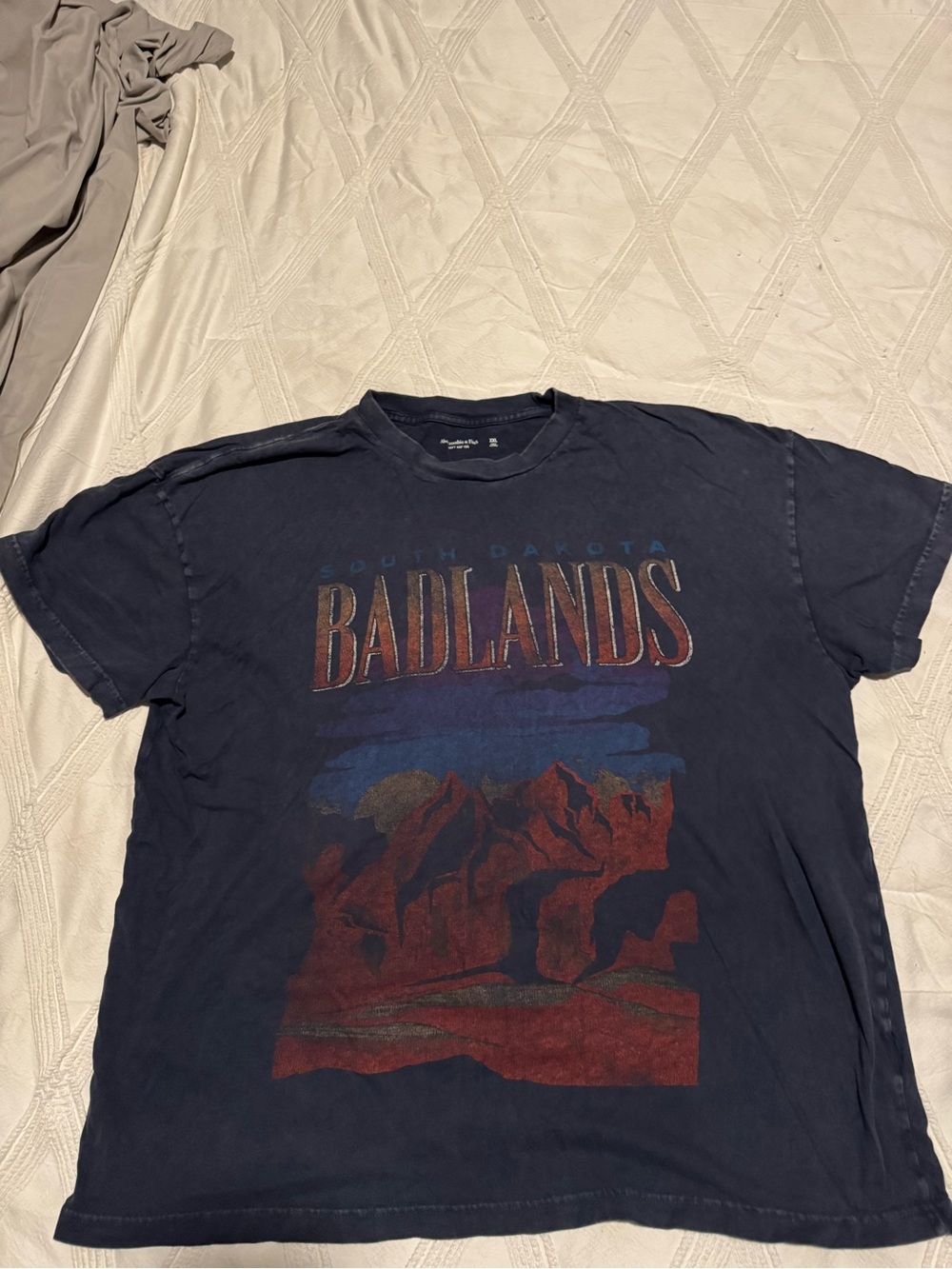 Abercrombie & Fitch Navy Blue Badlands Graphic Tee